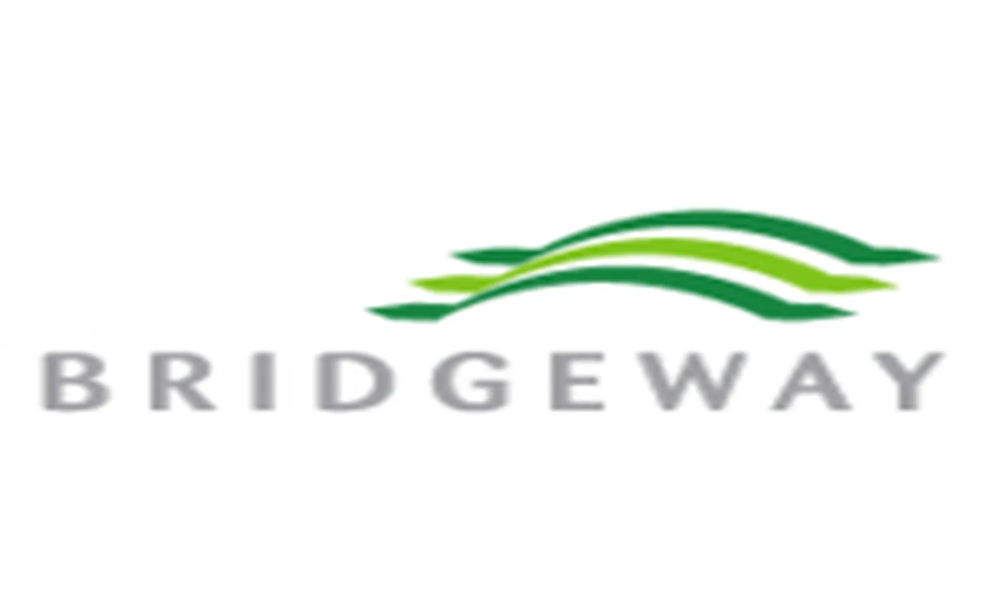Bridgeway Capital Management Launches Absolute Return-Focused Bridgeway Global Opportunities Fund (BRGOX)