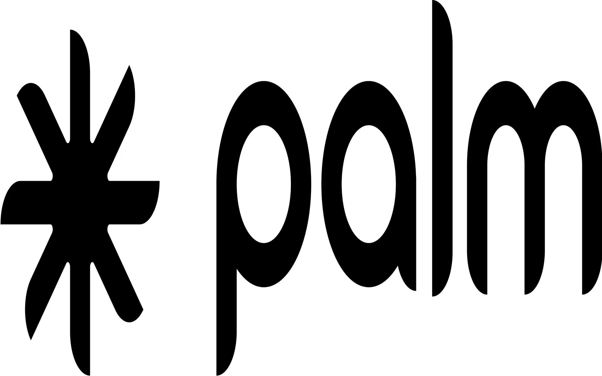 Palm Introduces AI-Powered BOI Filing Assistant to Speed Up Compliance Process for Millions of Small Businesses