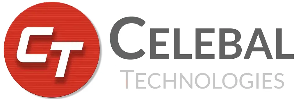 Celebal Technologies raises ₹50 crore from BlackSoil Capital
