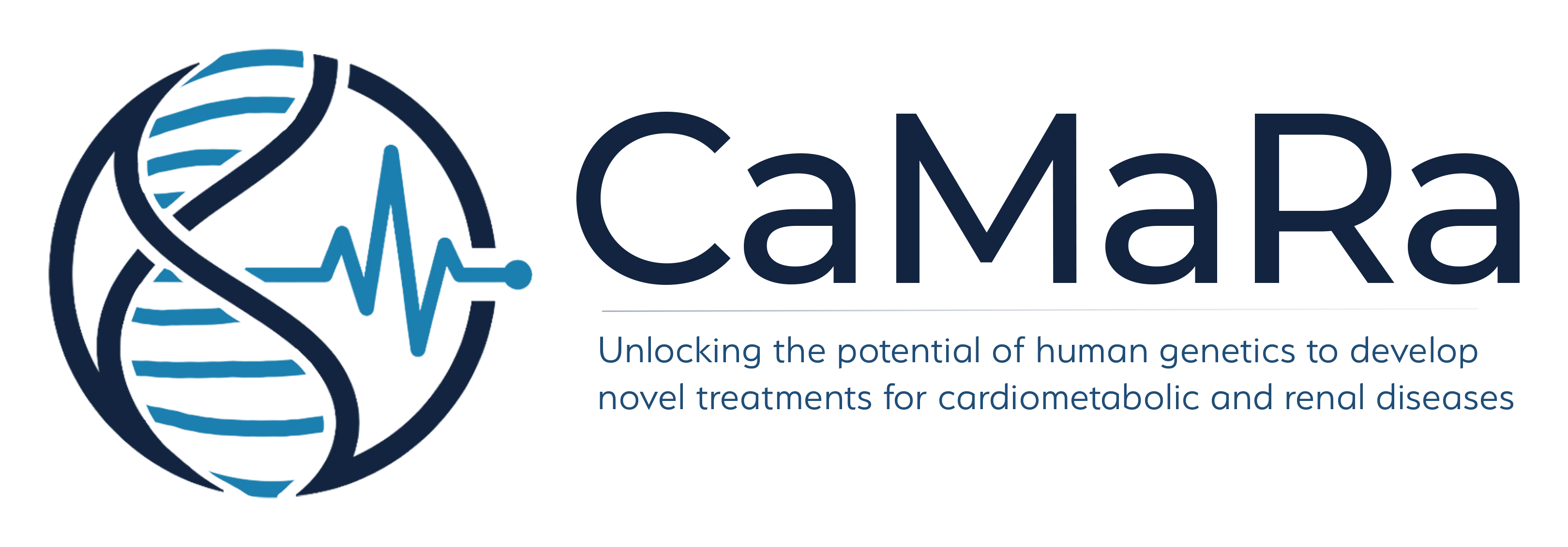 CaMaRa Launches with Broad Institute Collaboration to Develop Novel Cardiometabolic and Renal Medicines